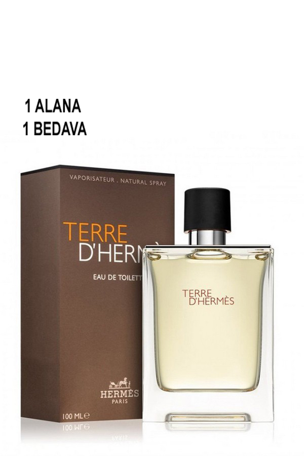 Hermes Terre D Hermes EDP 100 ML ERKEK PARFÜM